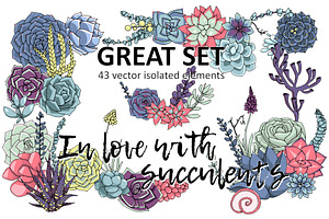 Great set of isolated succulents