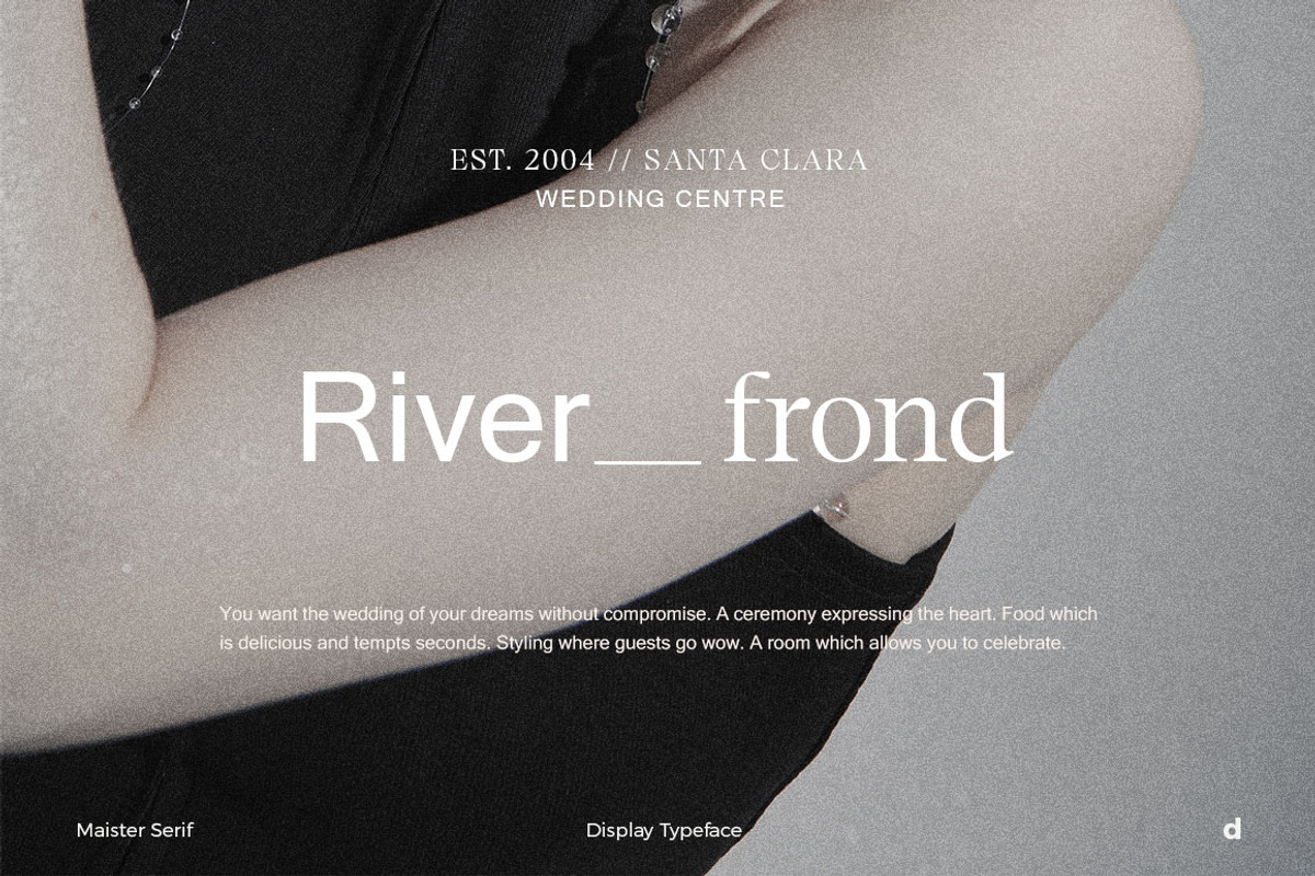 Maister//Display Serif, a Serif Font by Dora Typefoundry (Photo 5 of 20)