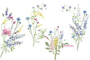 Wildflowers and Watercolor Textures, a Healthcare Illustration by Graphic Blue Bird (Thumbnail 4 of 7)