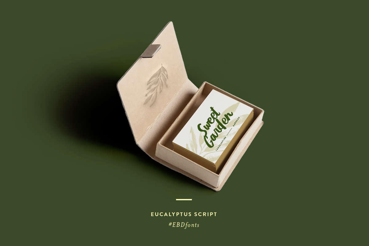 Eucalyptus Brush Script preview 4