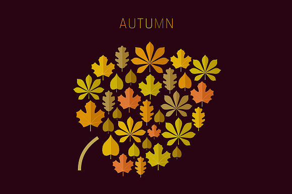 Autumn Leaf