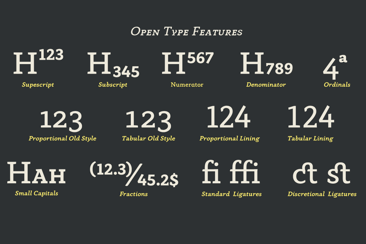 Anaphora - 22 Fonts, a Serif Font by Zetafonts (Photo 9 of 11)