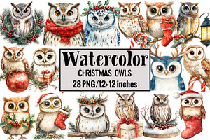 Christmas Owls, an Illustration by Design Market