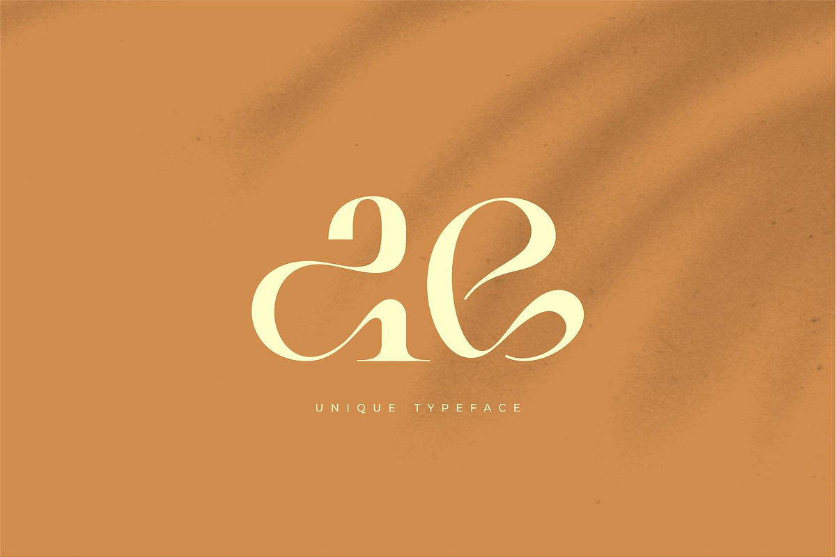 Bilea - Unique Brilliant Font, a Serif Font by suhadidesign (Photo 12 of 14)