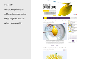 Lemon retina PSD blog template