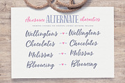 Indigo Summer Font Trio, a Script Font by Nicky Laatz (Thumbnail 19 of 21)
