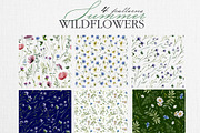 Watercolor set of wildflowers, an Illustration by RushkinaAntonina (Thumbnail 7 of 8)