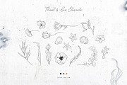 Mellifluous. Sea & Floral Graphics, a Texture Illustration by NiKO (Thumbnail 9 of 20)