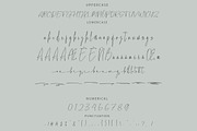 Willentia - Elegant Script Font, a Script Font by NTC Graphic (Thumbnail 8 of 9)