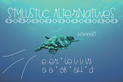 Turtle, a Sans Serif Font by Treich Design (Thumbnail 2 of 4)