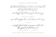 Golden Allure - Elegant Font Duo, a Serif Font by Sarid Ezra (Thumbnail 11 of 11)