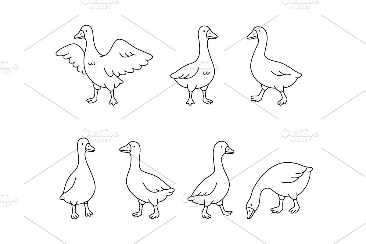 Goose outlines in cartoon style. Set, an Animal Illustration by GraphiShop