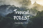 Tropical Forest-Handwritten font, a Script Font by TinyWanderersArt (Thumbnail 1 of 5)
