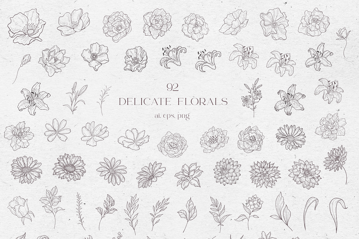Delicate Wedding Design., a Decorative Illustration by Designwork (Photo 13 of 16)