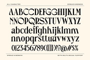 Spread Kindness Crafted Serif, a Serif Font by Letterhend Studio (Thumbnail 9 of 12)