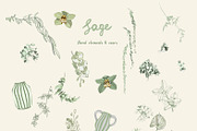 Sage Floral Illustrations, an Object Graphic by whiteheartdesign (Thumbnail 13 of 14)
