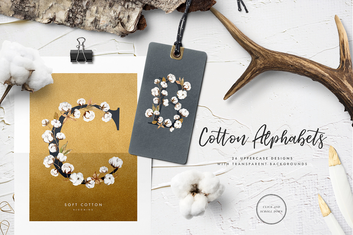 Magnolia&Cotton, an Illustration by Graphic Box (Photo 4 of 7)