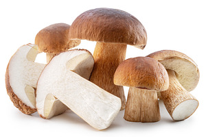 Group of porcini or boletus mushroom, a Food & Drink Photo by Volff