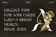 Agilera - Stylish Ligature Font, a Serif Font by Asenbayu (Thumbnail 3 of 15)