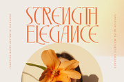 Zamilah Modern Serif Display, a Serif Font by timelesstype.co (Thumbnail 5 of 20)