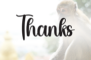 Monkey | Script Font, a Handwritten Font by Scratchones (Thumbnail 9 of 9)