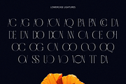 Cordelia - Unique Ligature Serif, a Serif Font by Glyphofik x GudPap (Thumbnail 6 of 6)