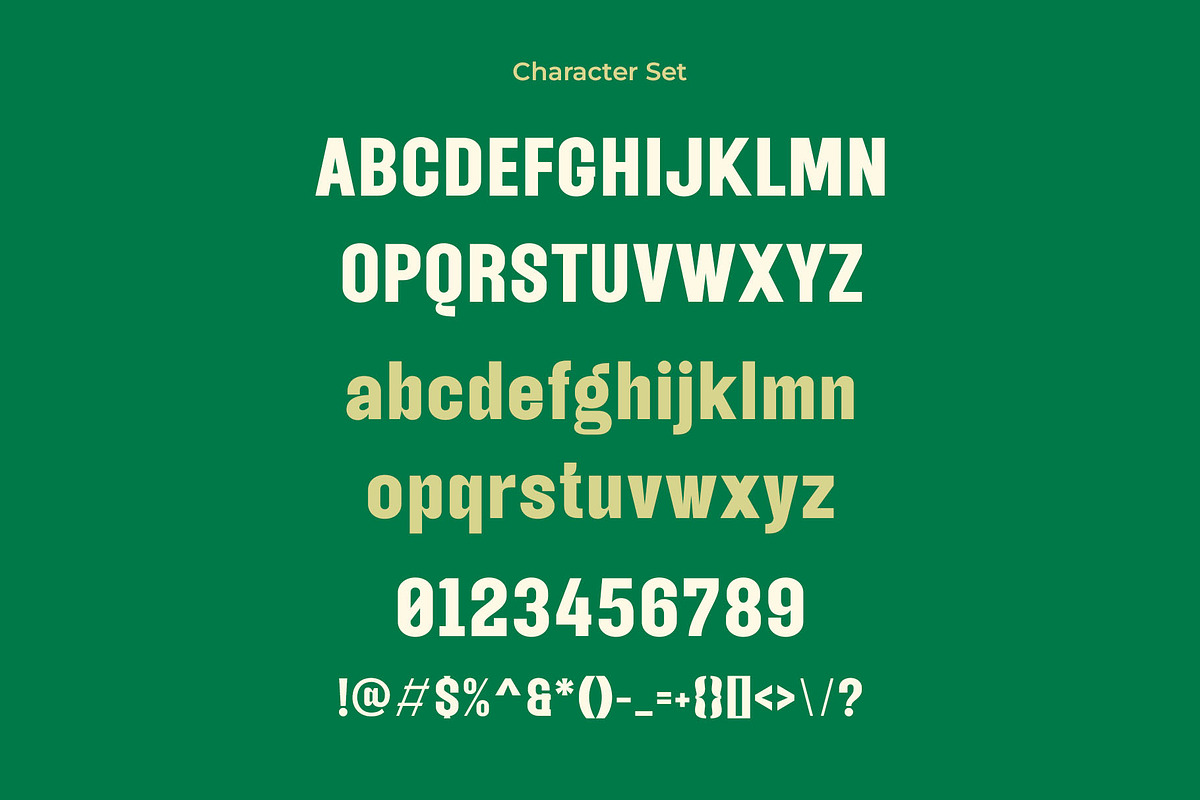 Qilandia - Modern Condensed Sans Ser, a Sans Serif Font by TypeLogue (Photo 5 of 5)