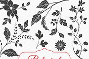 Hand Drawn Botanical Vector Elements, an Illustration by Solana (Thumbnail 4 of 5)