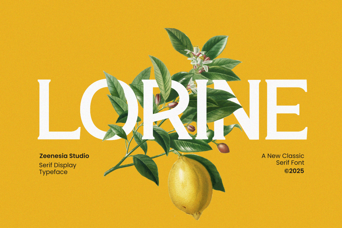 Lorine, a Serif Font by zeenesia (Photo 1 of 14)