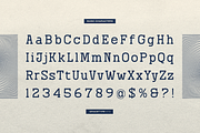 Availo Ledger | Slab Serif Typeface, a Slab Serif Font by gracetype_studio (Thumbnail 10 of 12)