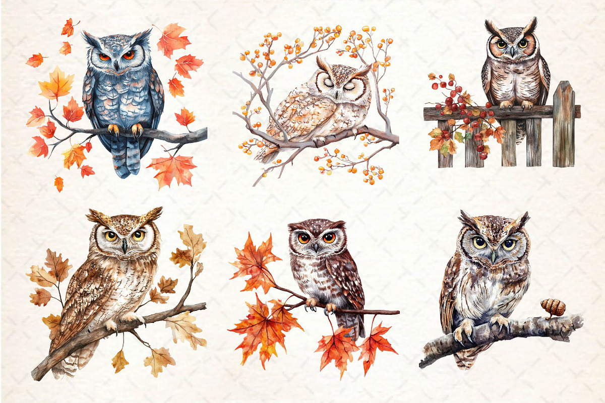 Autumn Owl Clipart Sublimation, an Illustration by Dream Creation (Photo 3 of 6)