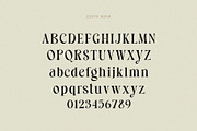 Costa Nova || display Ligature serif, a Serif Font by ToniStudio (Thumbnail 10 of 12)
