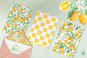 Juicy Lemon. Watercolor set, a Food Illustration by Tata Pilip (Thumbnail 6 of 7)