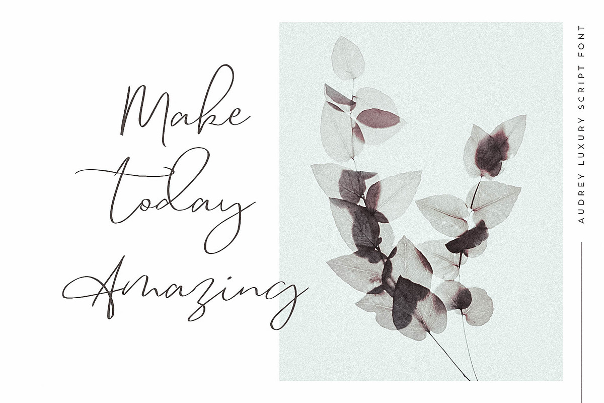 Audrey | Luxury Script Font, a Script Font by Awanstudio (Photo 4 of 10)