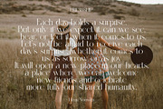 Mangro Elegant Serif Typeface, a Serif Font by Alfinart (Thumbnail 2 of 7)
