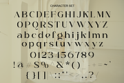Quited Happines - Variable Elegant, a Serif Font by RagamKata (Thumbnail 9 of 10)