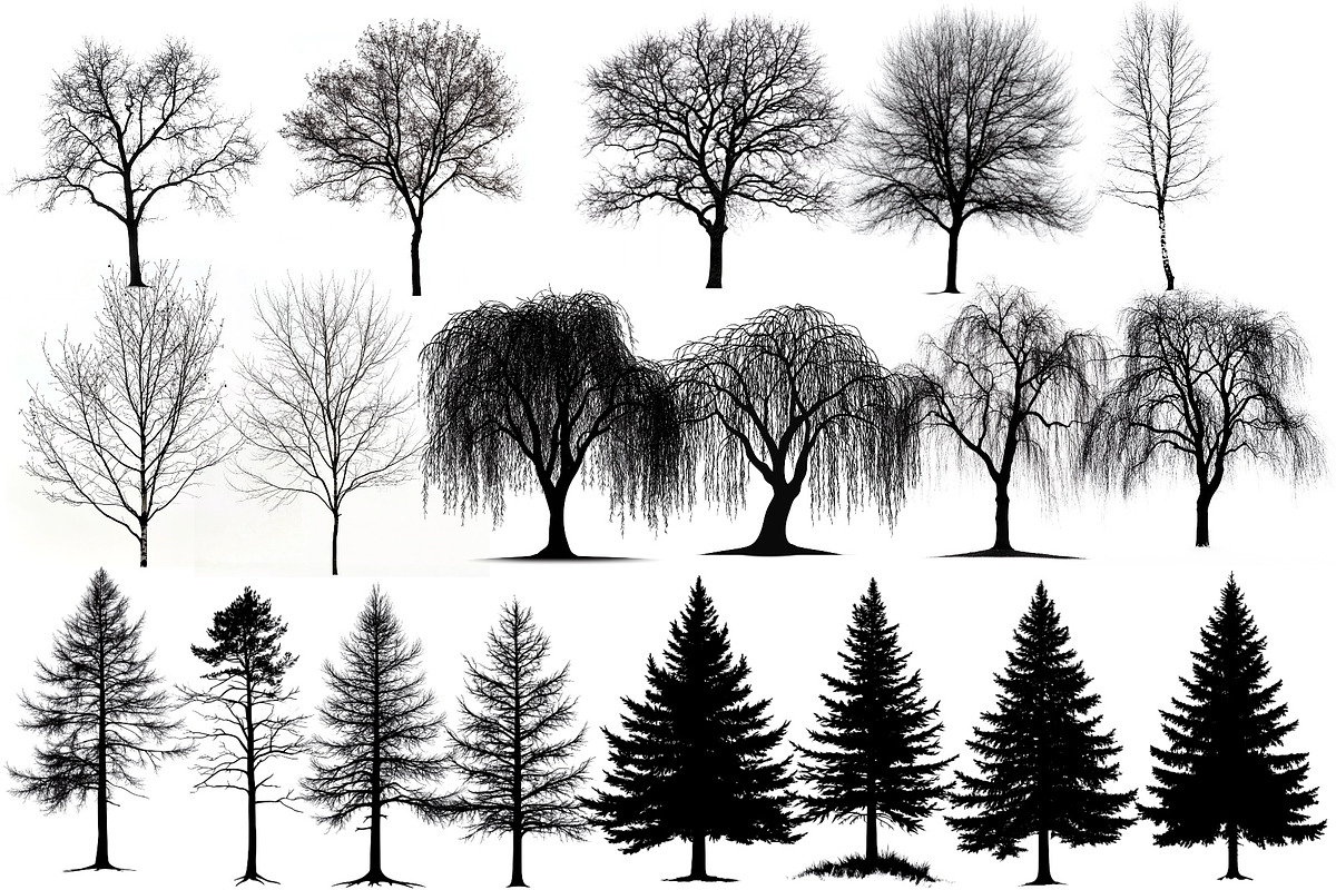 Landscape brushes, foliage grass, a Brushes & More by Elenbushe (Photo 5 of 8)