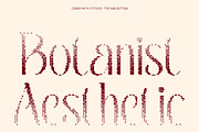 CS Belova Halfpixel, a Serif Font by Craft Supply Co. (Thumbnail 3 of 8)