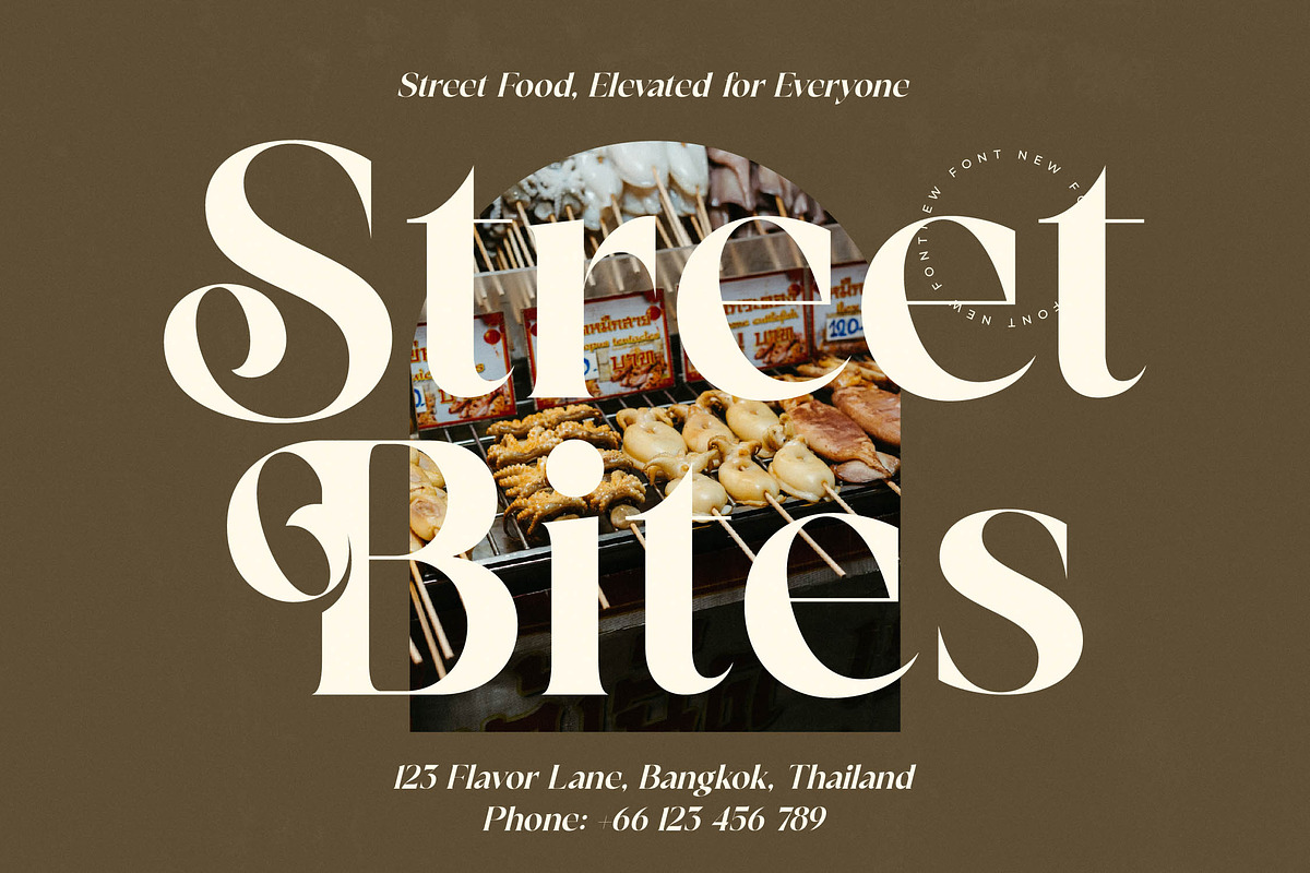 Victoria Culture Modern Serif, a Serif Font by timelesstype.co (Photo 12 of 20)