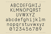 Lenia Mono | Intro 50% OFF, a Sans Serif Font by Lettertype Studio (Thumbnail 9 of 14)