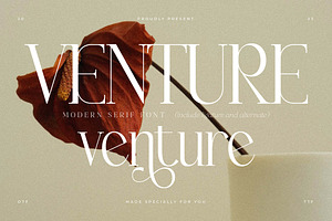 Venture Modern Serif Font