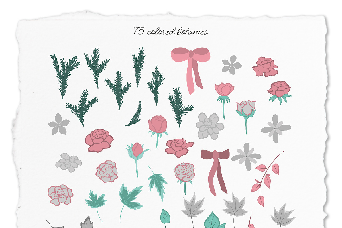 Christmas botanical collection, an Object Graphic by Katerina.Sea.Design (Photo 3 of 6)