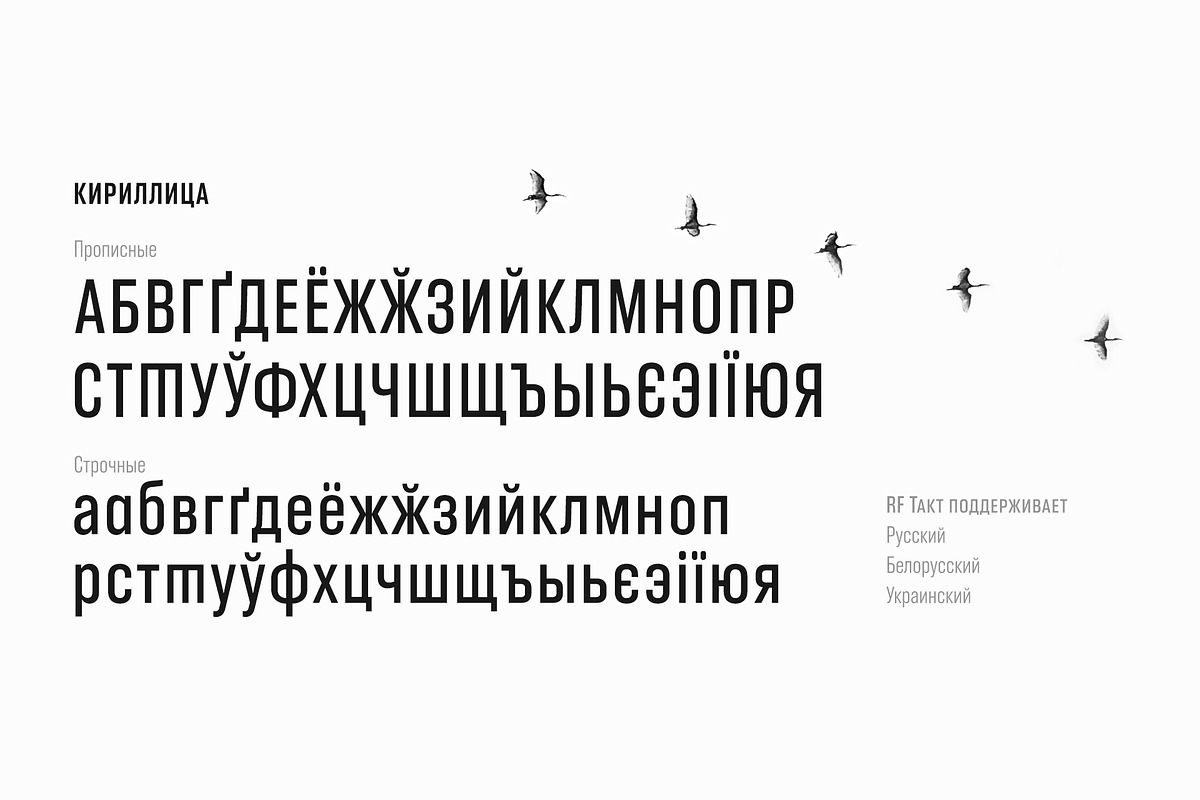 RF Takt Basic Pack, a Sans Serif Font by Russian Fonts (Photo 13 of 13)