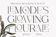 Classy Elegant Serif - Louisbele, a Serif Font by Shakira Studio (Thumbnail 2 of 10)