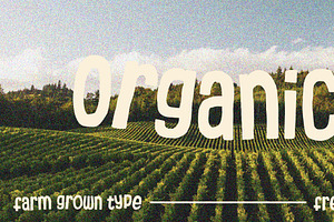 Organico, a Handwritten Font by Papertype