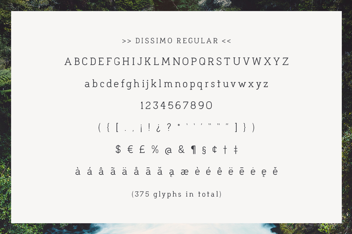Dissimo Font Family (8 fonts), a Font by Verg Shop (Photo 13 of 24)