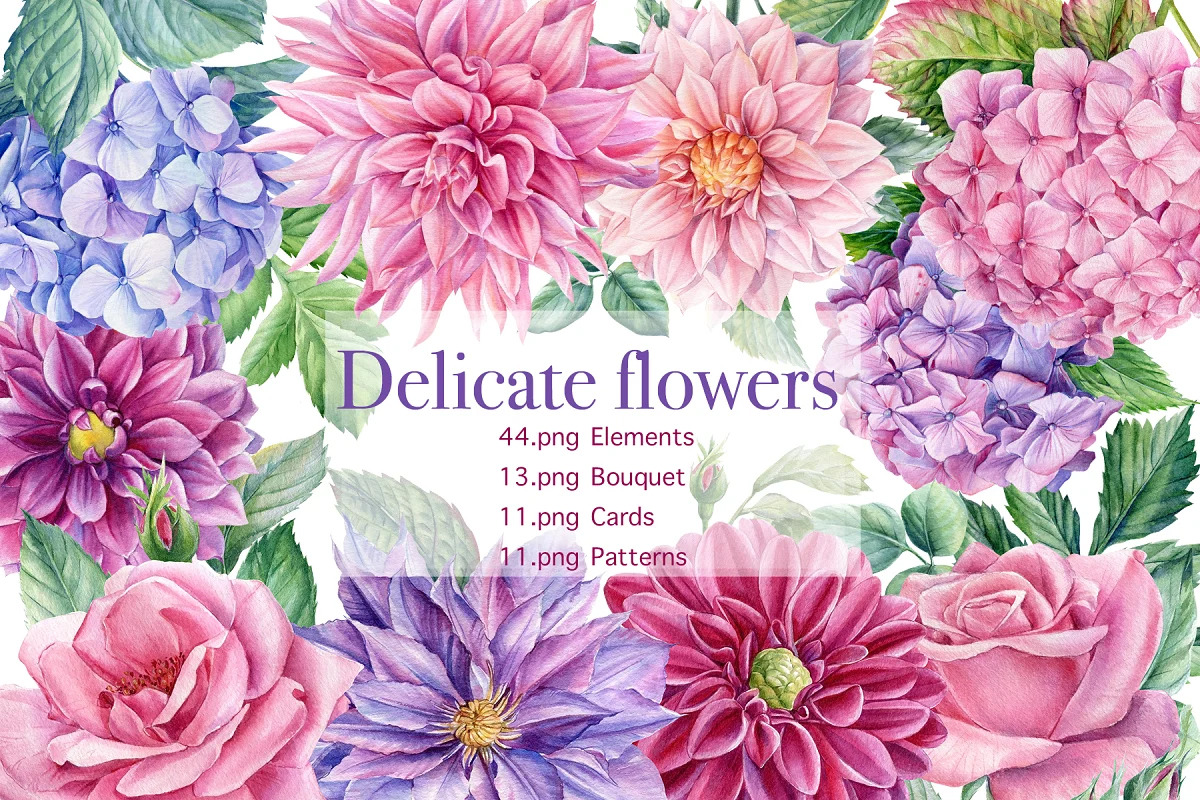 Bundle floral illustration, a Decorative Illustration by Hanna Hryharenka (Photo 5 of 10)