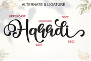 Marry You - Modern Calligraphy Font, a Script Font by BearyType Studio (Thumbnail 6 of 7)