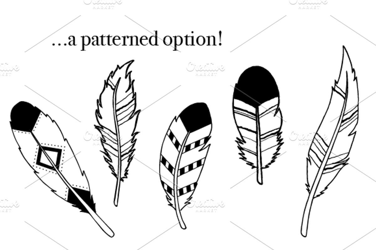 35 Vector Hand Drawn Feathers, a Texture Illustration by Foxtail Pine Studio (Photo 3 of 3)