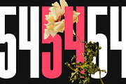 Kajiro Sans Condensed Display Font, a Sans Serif Font by Maulana Creative (Thumbnail 9 of 10)